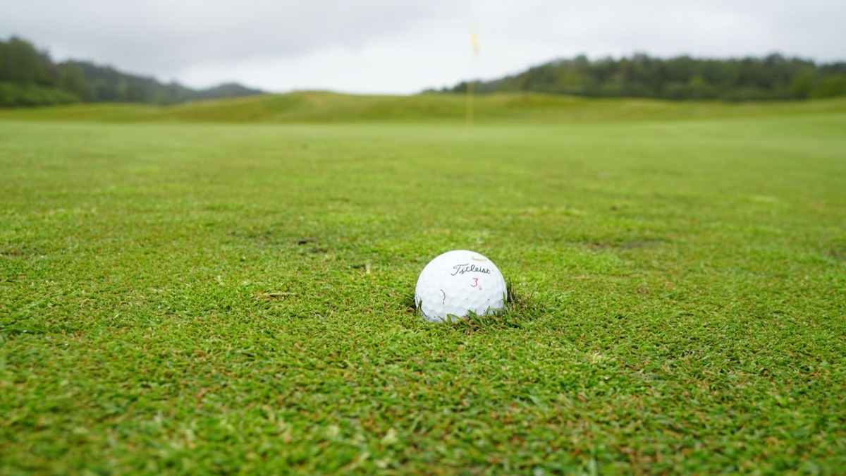 Sanfte Hügellandschaft eines professionellen Golfplatzes