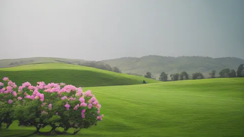Augusta National: 6 consigli per dominare il campo del Masters