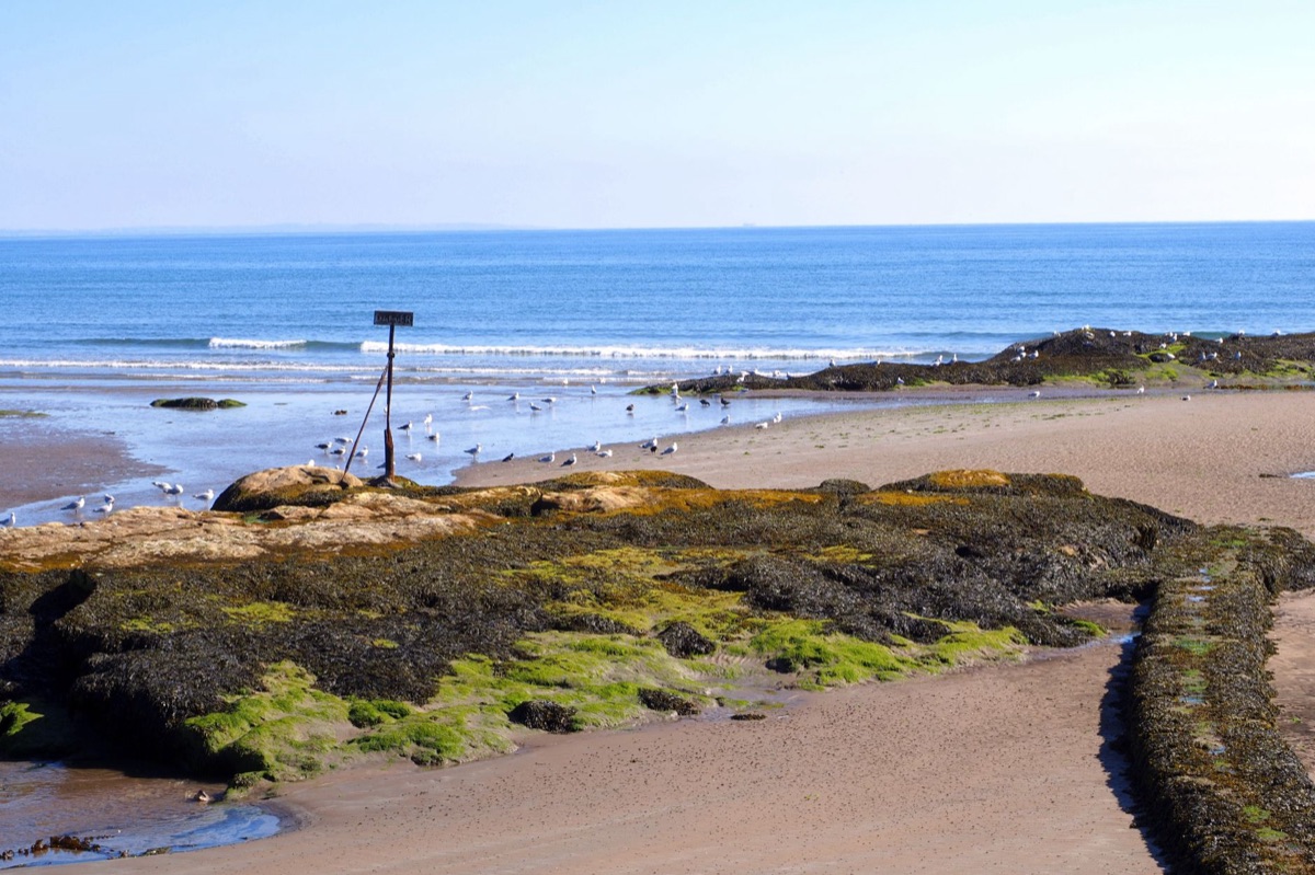 Der berühmte Old Course in St Andrews, Schottland
