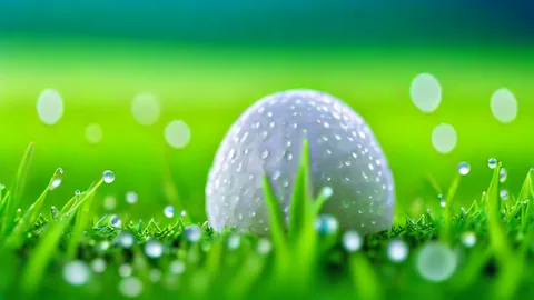 St Andrews: reserve seu tee time com 1 ano de antecedência