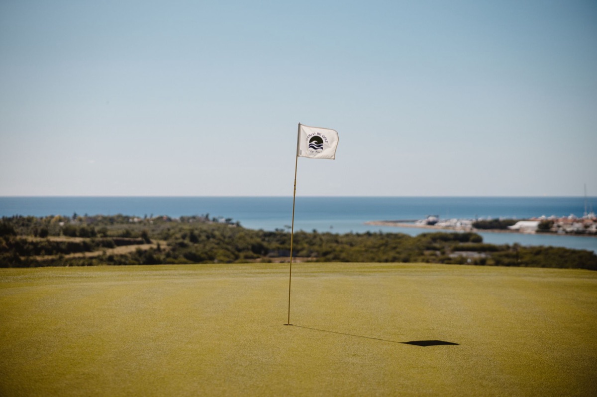 Luxury resort golf course with trees and water features