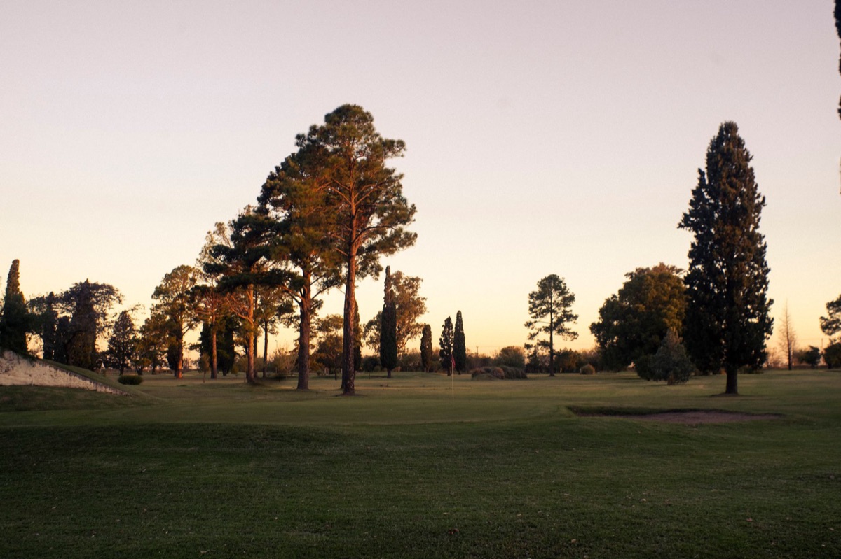 Jeju Golf Course with Trees