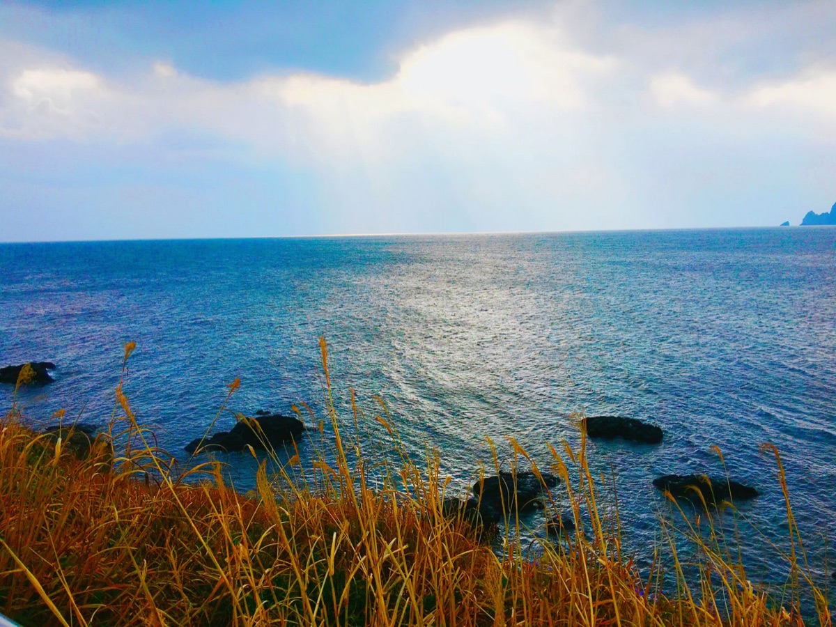 Cursos Jeju Golfe