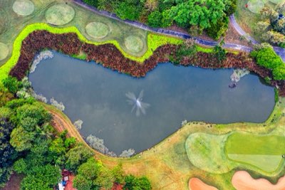 4 Tiers of Golf Courses: Find Your Perfect Challenge Level