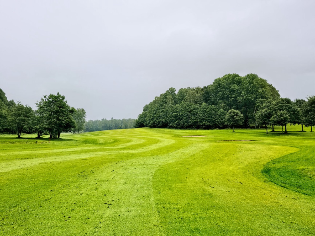 Corsia di golf con erba alta
