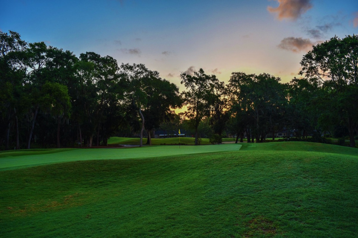  golf course with cypress trees