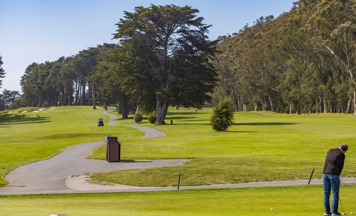 Golfplatz mit alten Bäumen