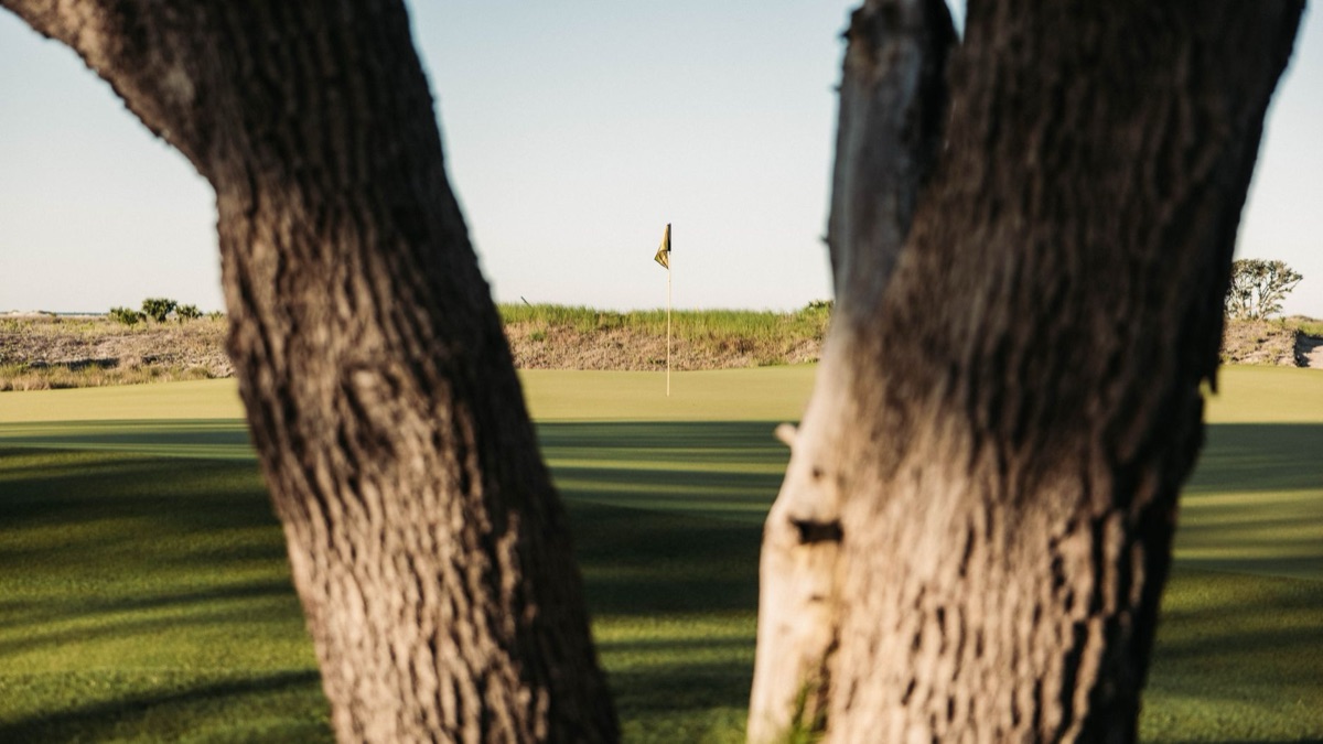 權威 golf 舉債