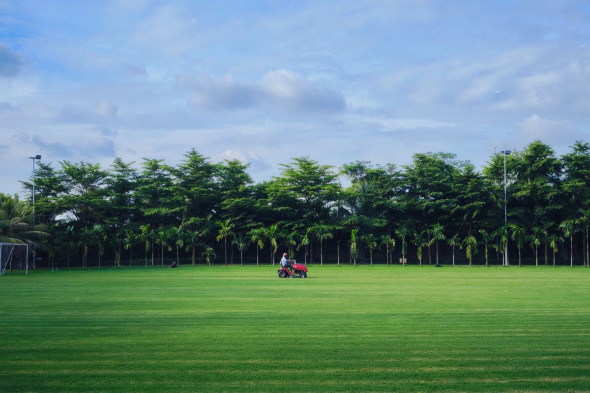 Operatie van het resortgolfveld