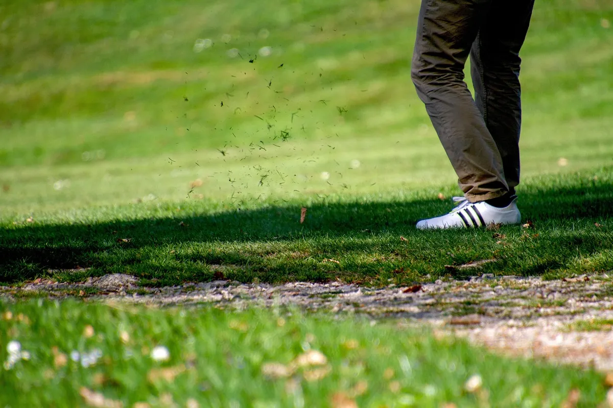 golf, sport, leisure, golfer, golf course, hobby, skill, recreation, golf, golf, golf, golf, golf