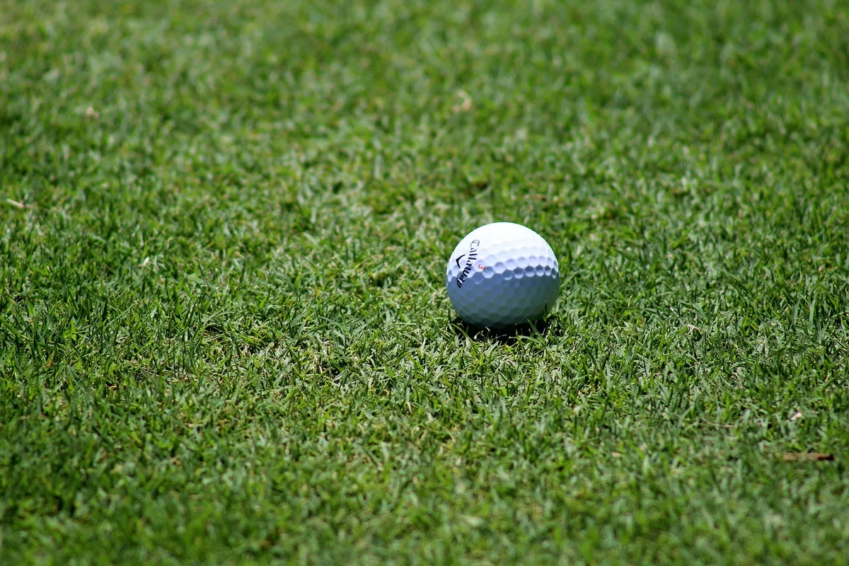 golf, golf ball, golf course, nature, grass, sport