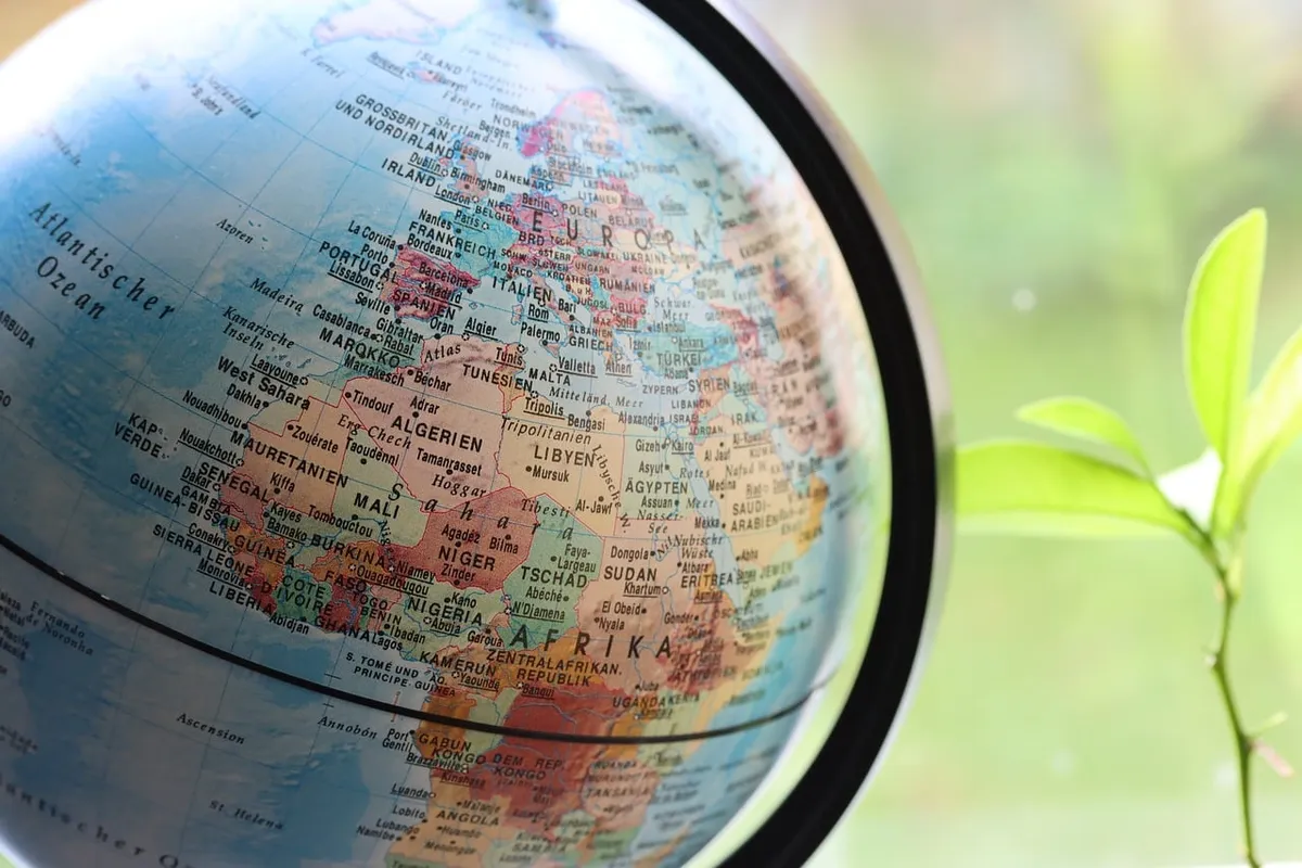 africa, growth, development, plant, light, world map, boom, business, stock exchange, globe, map of the world, world, continent, earth, nature, geography, map,