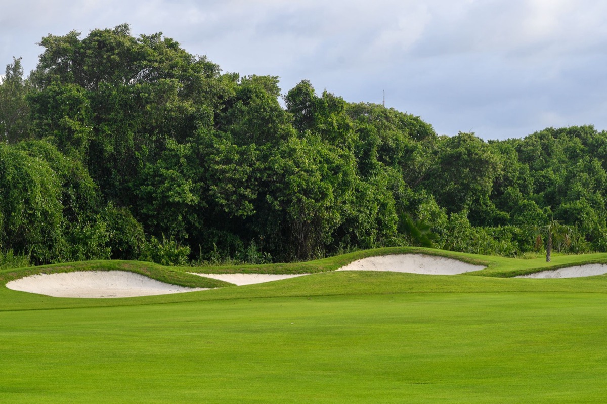 Golf course fairway with trees